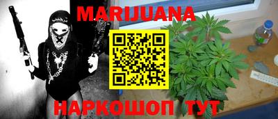 дмт Шелехов