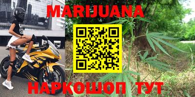 дмт Шелехов