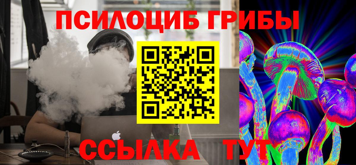 Галлюциногенные грибы Psilocybe  Вход с VPN  Ачинск  Псилоцибиновые грибы Psilocybine cubensis 