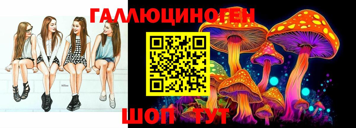 Псилоцибиновые грибы Psilocybine cubensis Ачинск